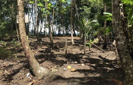 Playa Chiquita Property For Sale