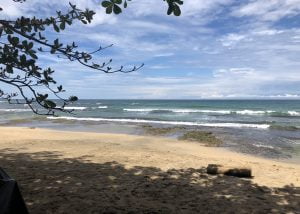 Costa Rica Real Estate Tropical Living