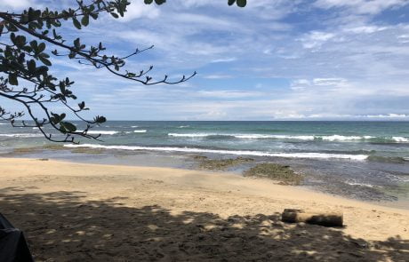 Costa Rica Real Estate Tropical Living