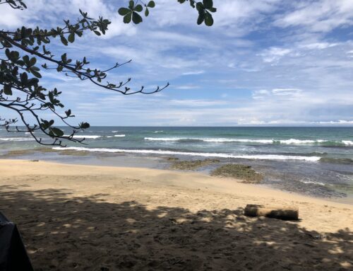 Playa Chiquita Beachfront