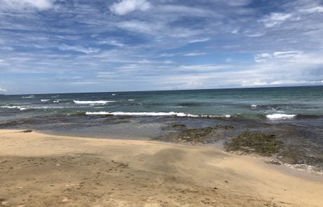 Tropical Living Collective Costa Rica Real Estate