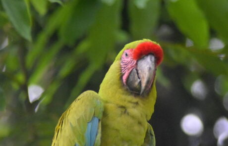 Tourism in Vista RIca