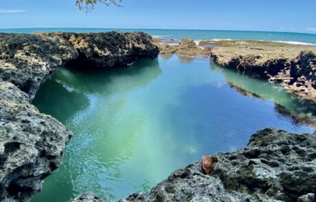 Natural Pools in Cahuita